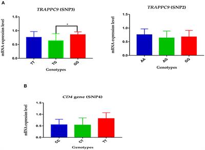 Genetic polymorphisms of TRAPPC9 and CD4 genes and their association with milk production and mastitis resistance phenotypic traits in Chinese Holstein